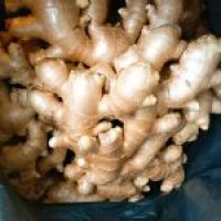 Ginger-and-Dried-Split-Ginger-4-150x150